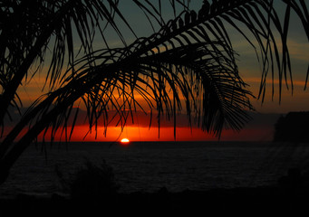 笔记本电脑f1- f12怎么打开