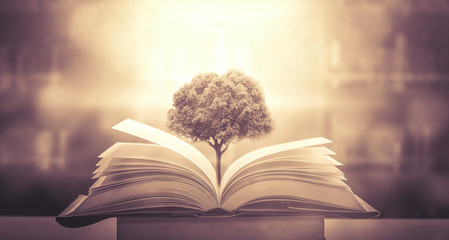 dell笔记本电脑电池显示正在充电但是电量一直不变