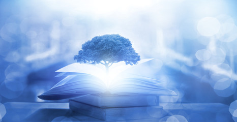 笔记本电脑进入睡眠状态后打不开了怎么办