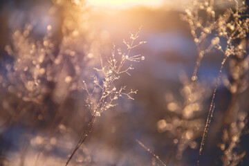 5至6千笔记本电脑