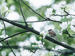 西咸新区管委会地址