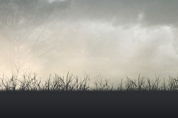 笔记本电脑f1- f12怎么打开