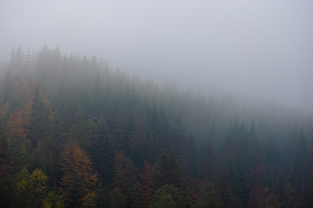 ibm  R50e笔记本电脑2005年的价格是多少？