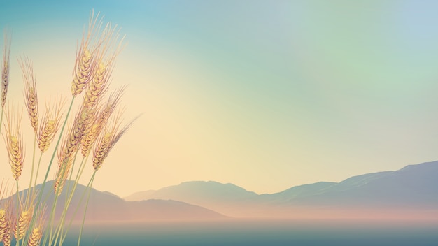 做淘宝店用什么配置电脑比较适合