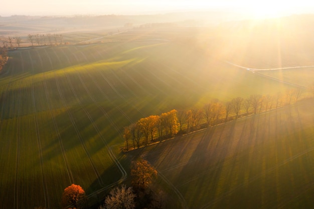 dell笔记本电脑电池显示正在充电但是电量一直不变